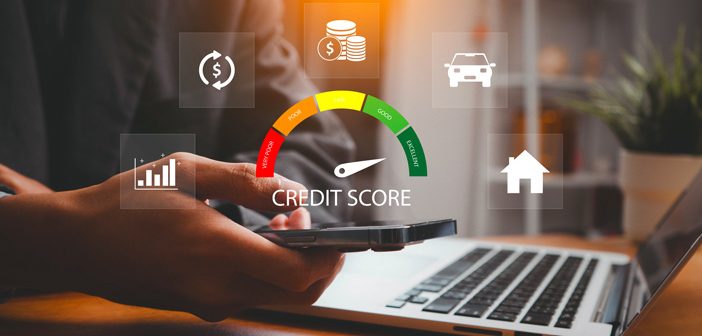 Credit score icon