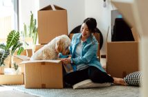 Person with a dog and moving boxes
