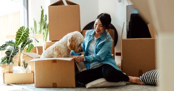 Person with a dog and moving boxes