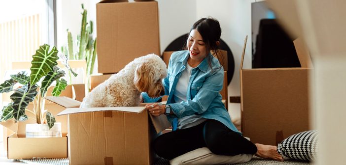 Person with a dog and moving boxes