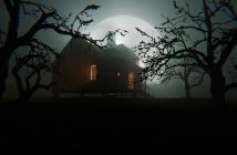Halloween house